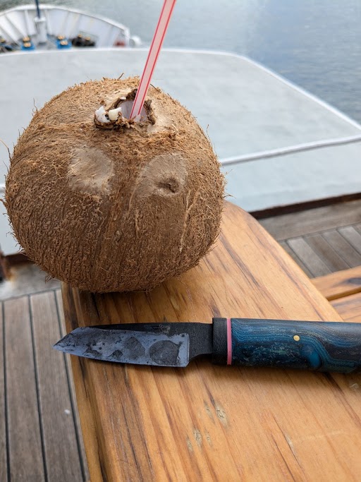 TKnife_coconut_samoa_2024-small.jpg